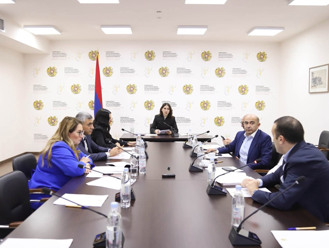 Սահմանադրական բարեփոխումների խորհուրդը քննարկել է առաջիկա աշխատանքները