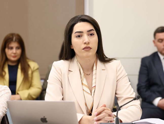 Նախարար․ Կարևոր է, որ ընտանեկան բռնությունից տուժածը ստիպված չլինի լքել իր բնակության վայրը