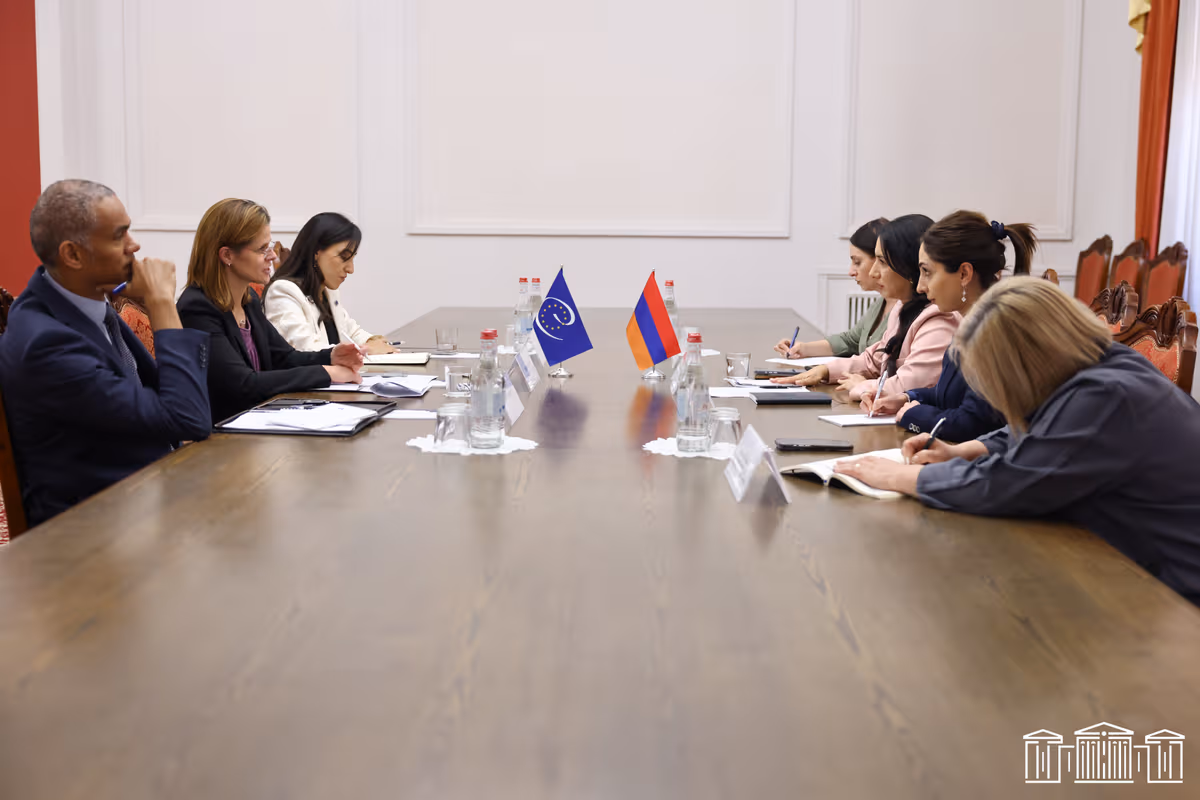 Խորհրդարան է այցելել ԵԽ մարդու իրավունքների և օրենքի գերակայության գլխավոր տնօրինության ներկայացուցիչը