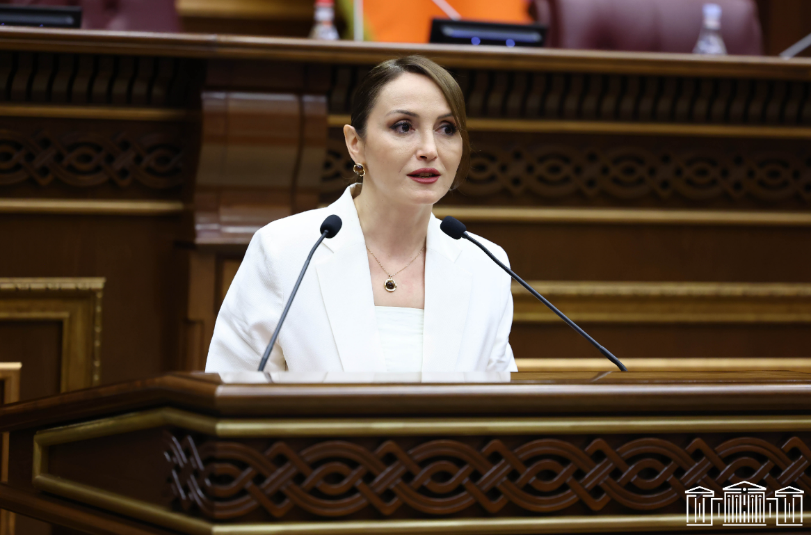 Լուսինե Բադալյանին թույլ չեն տվել մուտք գործել Ռուսաստանի Դաշնություն