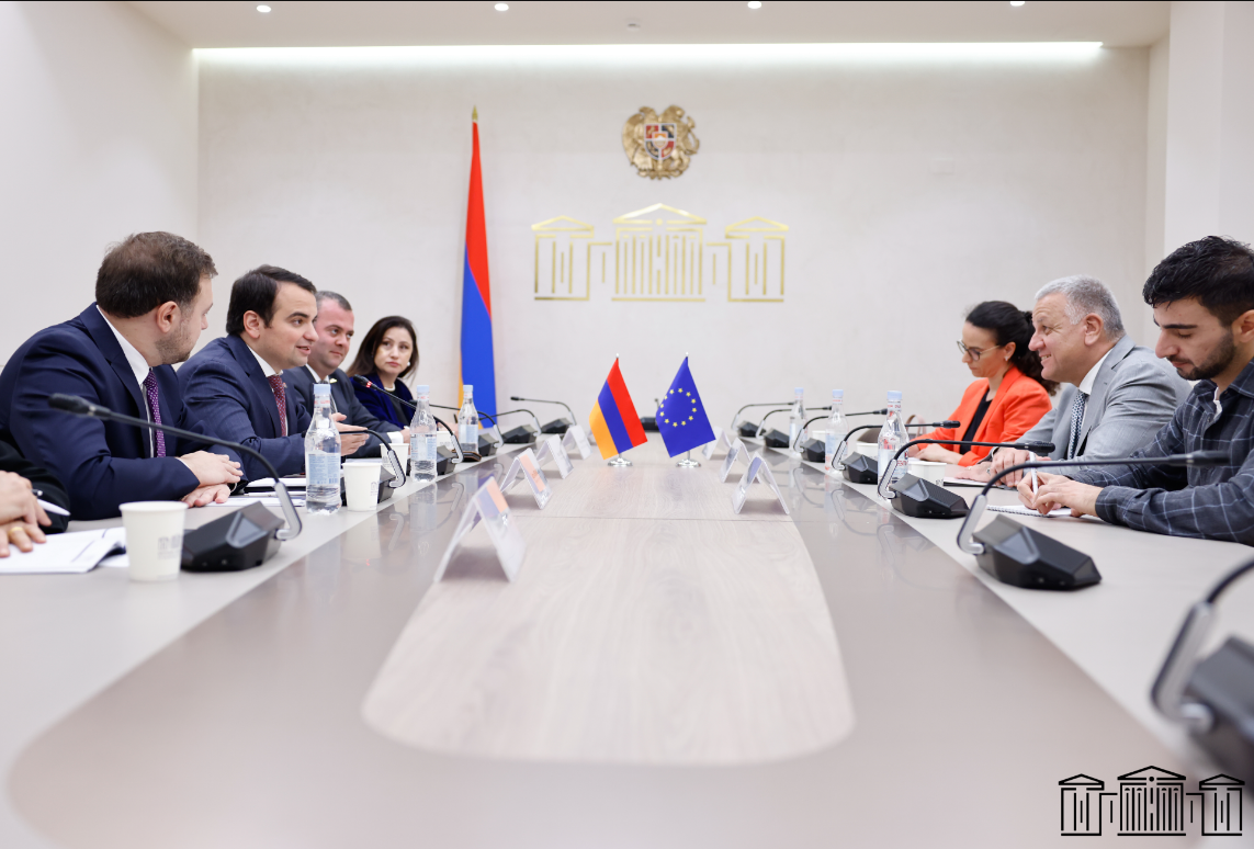 «Ուժեղ Հայաստան» խմբակցության ներկայացուցիչները հանդիպել են ԵՄ դեսպանի հետ